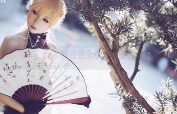 最新猫娘LOOK，coser衣衣分享蛇精病画风，豆粉在哪儿？