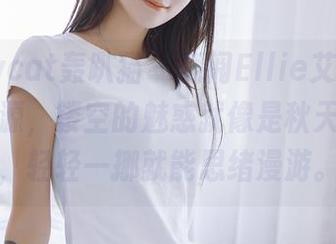 partycat轰趴猫 – 翻阅Ellie艾栗栗的私拍资源，镂空的魅惑就像是秋天的落叶，轻轻一挪就能思绪漫游。