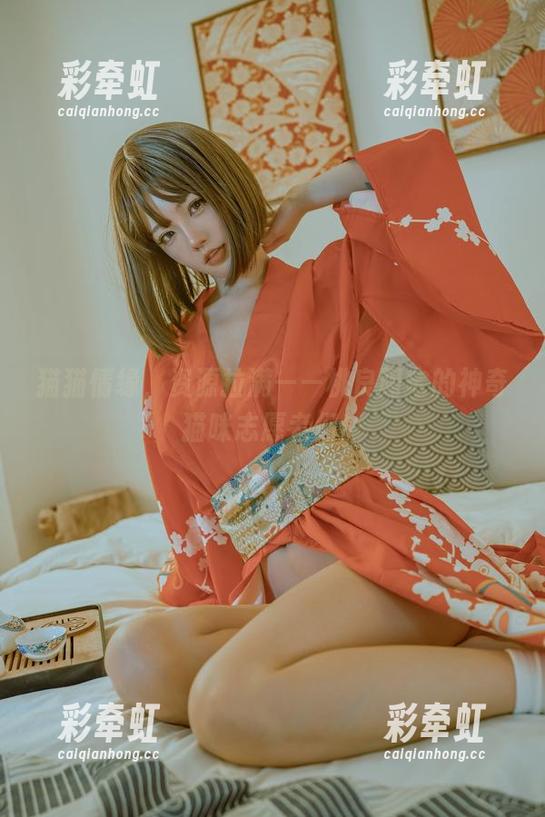 猫猫情缘，资源拉满——桃良阿宅的神奇猫咪志愿者们！